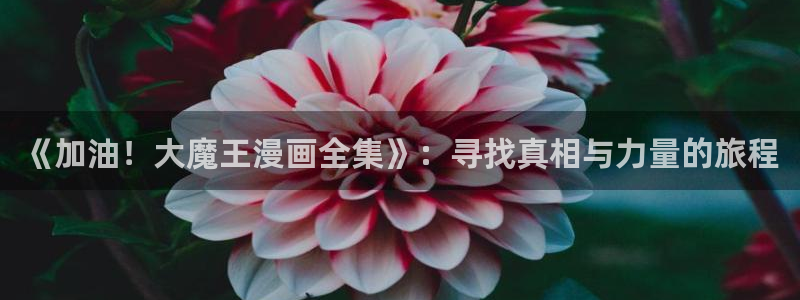 yy漫画人生在线韩漫阅读