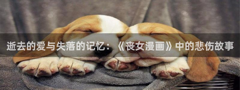韩漫永久vip免费看漫画的软件