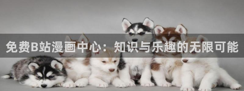 歪歪韩漫免费阅读
