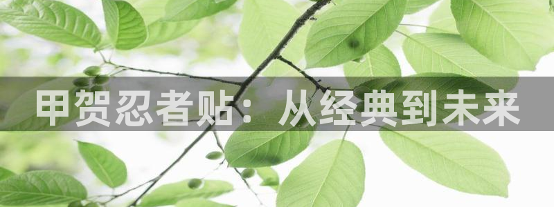 韩漫踏浪而行漫画